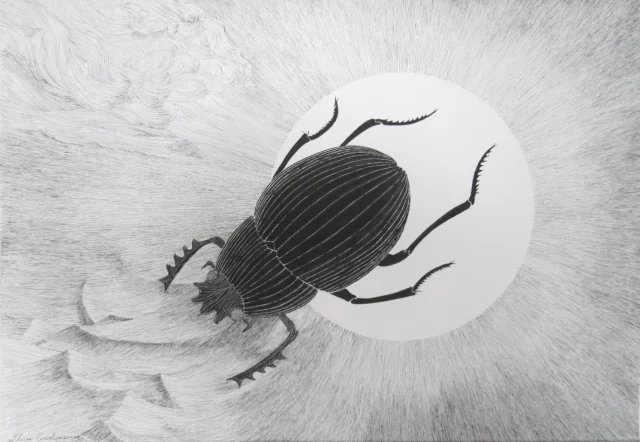 Scarabée bousier ou sacré ? Dessin à l'encre de chine sur papier Canson, 100x70 cm